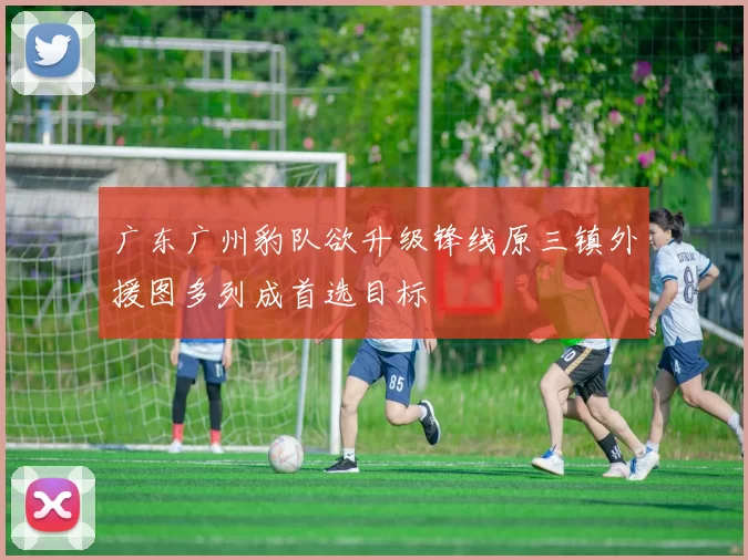 广东广州豹队欲升级锋线原三镇外援图多列成首选目标